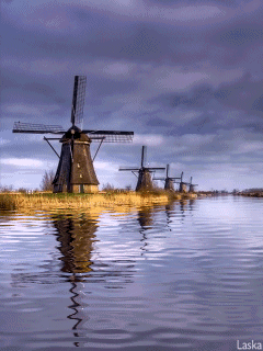 A row of windmills reflecting in the water along the river bank on a cloudy day