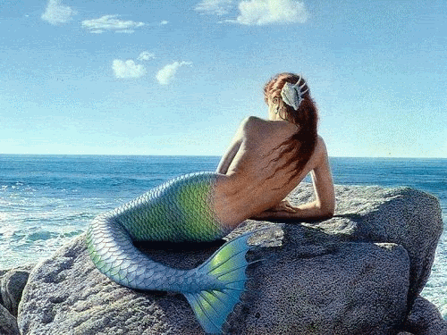 Lovely Mermaid basking in the warm morning sun looking out to the sea in animated picture that moves