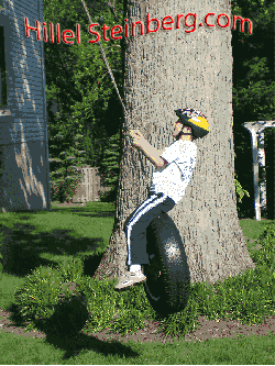 D wiggle stereo image of a boy playing on a tire swing hanging on a tree branch