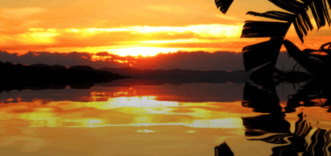 Reflections of a golden sunset on a lake in the tropics