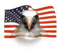 4th of July bald eagle over flag animation