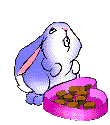 Animated bunny eating chocolate from box of chocolates