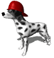 Animated Dalmatian wearing fire hat