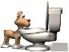Moving animated dog drinking from toilet