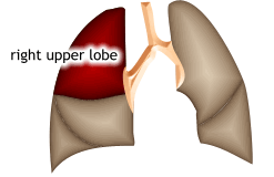 Animated gif lung parts picture