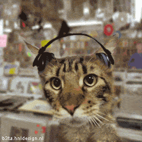 Animated cat bobbing head to music listening to