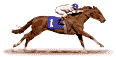 Animated-horse-race-jockey.gif