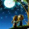 Loving couple watching falling stars under romantic moon