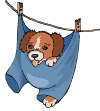 Animated puppy moving in pajamas