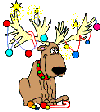 Animated Reindeer after the party