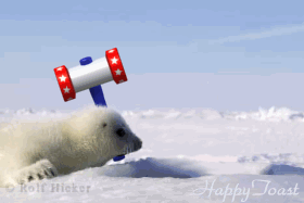 Horrific brutality of a cute baby seal hunt animated gif image