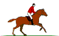 Animated jockey in red jersey on galloping horse