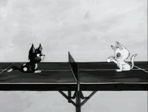 Animated Moving Cats