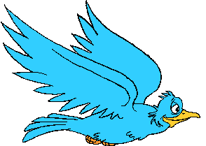 Big blue bird flapping wings and flying in the air