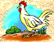 Animated chicken eating pecking the ground