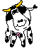 Happy spotted cow with a wiggly head