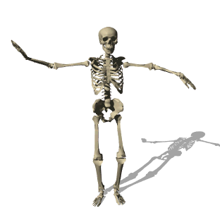 Dance Skeleton