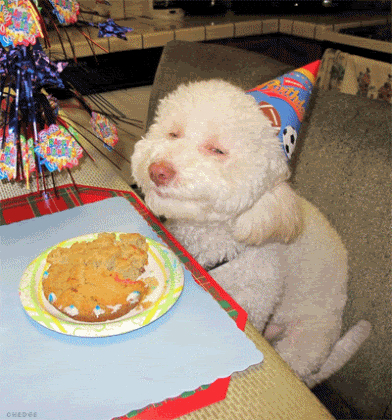 Animated dog showing off dental work, Happy Birthday gif