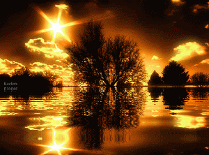 Golden sunset reflecting in the water of a lake