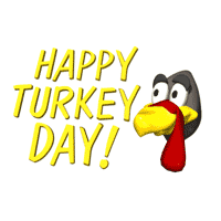 Turkey moves it's head back and forth, looks at you then looks at Happy Turkey Day banner