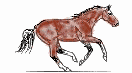 Animated galloping brown horse drawing