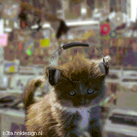 Very cute kitten wearing headphones dancing to music in the record store