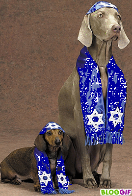 Cute puppieChanukah_Song-Adam_Sandler.mp3makas and Scarves with the Star of David for Chanukah