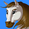 Moving horse head avatar 