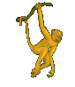 Light brown animated moving monkey swinging on tail