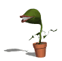 Man eating plant hopping along in it's flower pot cause it can't walk