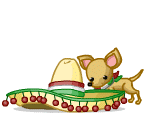 Moving animated Chihuahua with a Sombrero for Cinco de Mayo