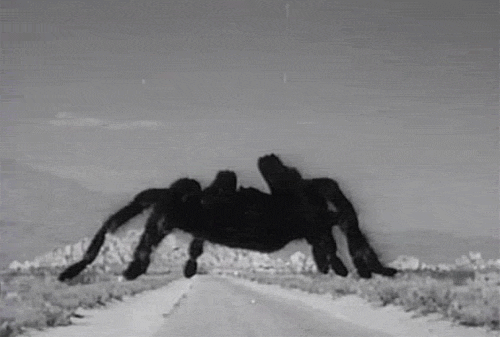 Moving animated clip art picture of huge, gigantic, enormous, monsterous giant tarantula