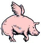 Image result for pig flying animated