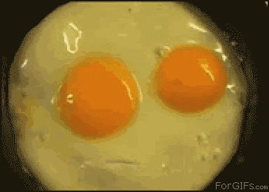 Moving animated picture of fried eggs singing