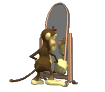 Moving animated picture of monkey looking for the other monkey in the mirror
