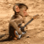 Moving animated picture of monkey playing a little guitar music