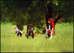 Moving animated picture of monkies riding dogs