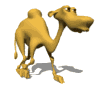 Moving-picture-camel-walking-animated-gif.gif