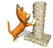 Moving picture cat on scratching post gif animation