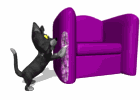 Moving picture cat scratching chair gif animation