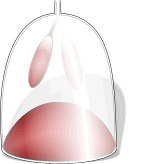 Moving picture diaphram illustration lungs animated gif