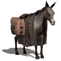 Moving picture horse with saddle bags shakes ears animated gif