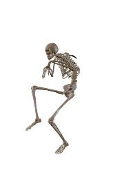 moving skeleton animation