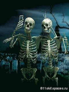 Moving picture skeleton taking a picture animated gif