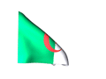 Real looking Algeria flag waving in wind moving animated gif picture
