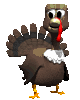Animated turkey moving around