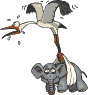Stork struggling to deliver a baby elephant