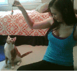 They say practice makes perfect, with this relentless training this kitty should be ready for Dancing with the Stars in no time
