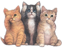 Animated hear see speak no evil moving kittens gif