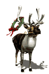 Animated Reindeer after the party